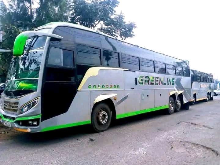 Greenline Royal Elite silver and green coach beside sister bus