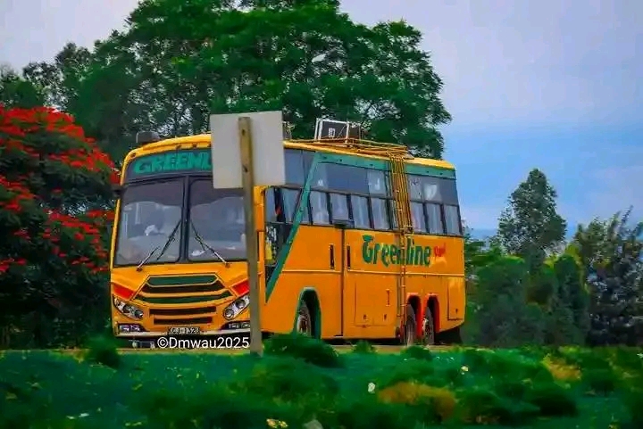 Greenline Royal fleet 1